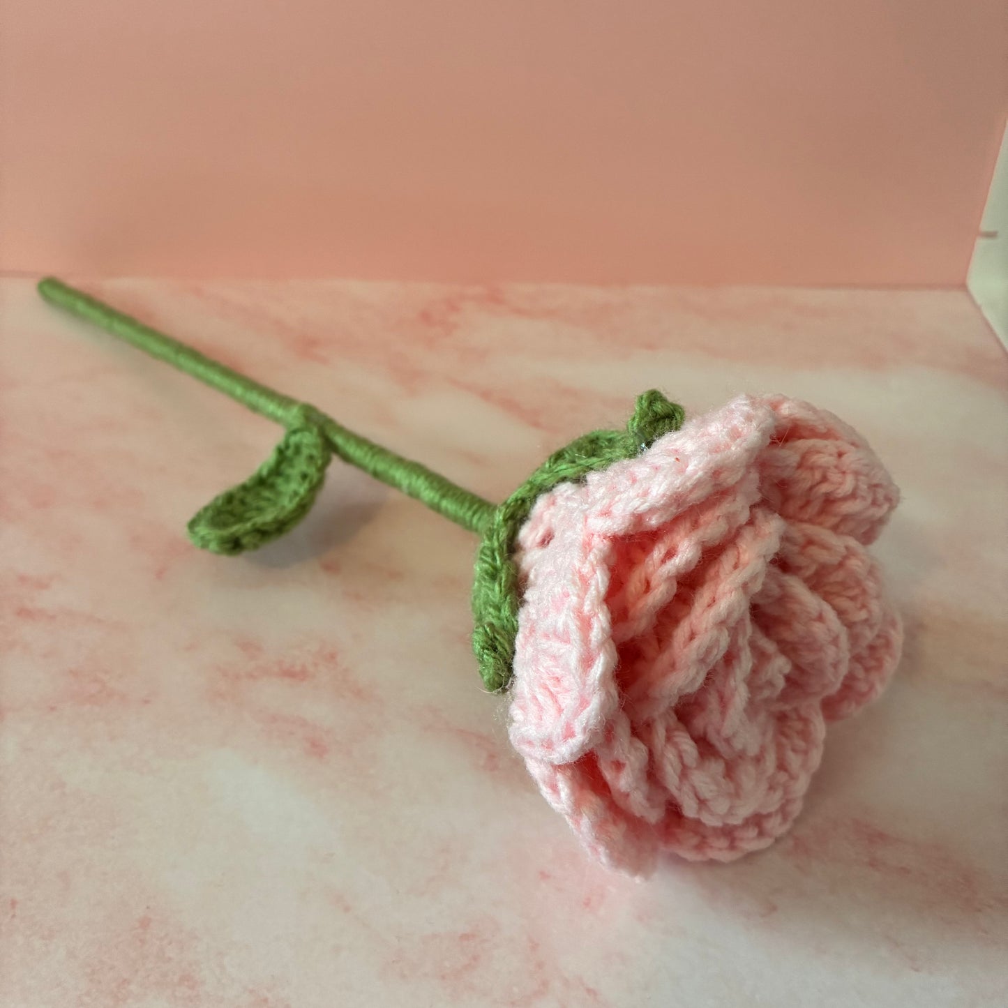 Light Pink Rose