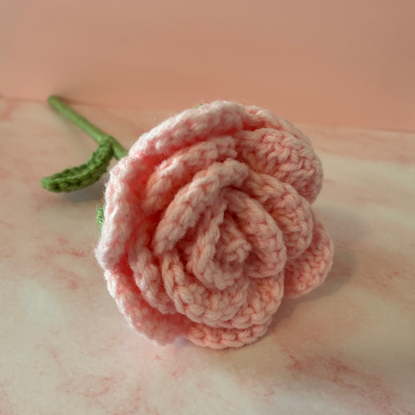 Light Pink Rose